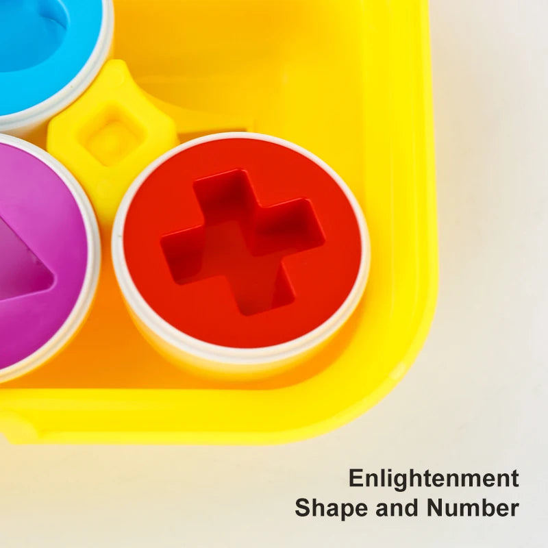 6Pcs Baby Recognition Egg matching toy set