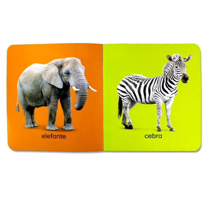 12Pcs/set Children Learning Picture Books in Spanish. Shape/Animal/Vegetable/Fruit/Color/ Words for Kids Book