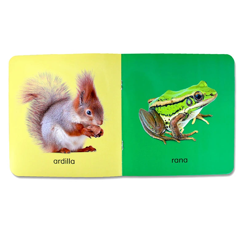 12Pcs/set Children Learning Picture Books in Spanish. Shape/Animal/Vegetable/Fruit/Color/ Words for Kids Book