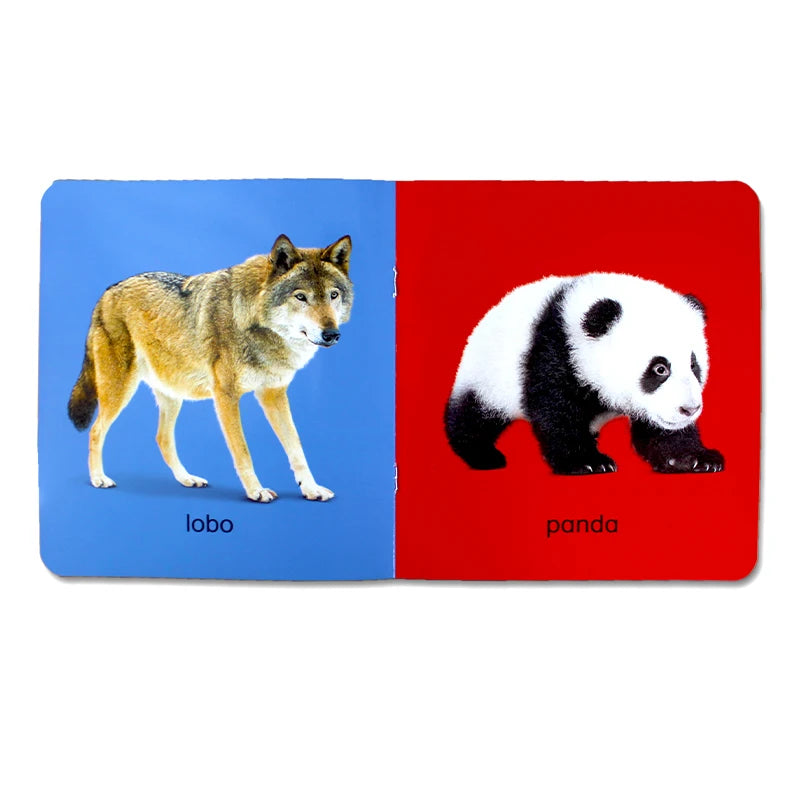 12Pcs/set Children Learning Picture Books in Spanish. Shape/Animal/Vegetable/Fruit/Color/ Words for Kids Book