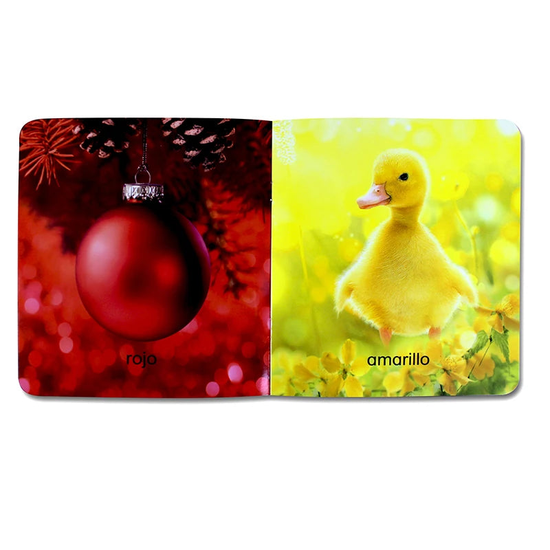 12Pcs/set Children Learning Picture Books in Spanish. Shape/Animal/Vegetable/Fruit/Color/ Words for Kids Book